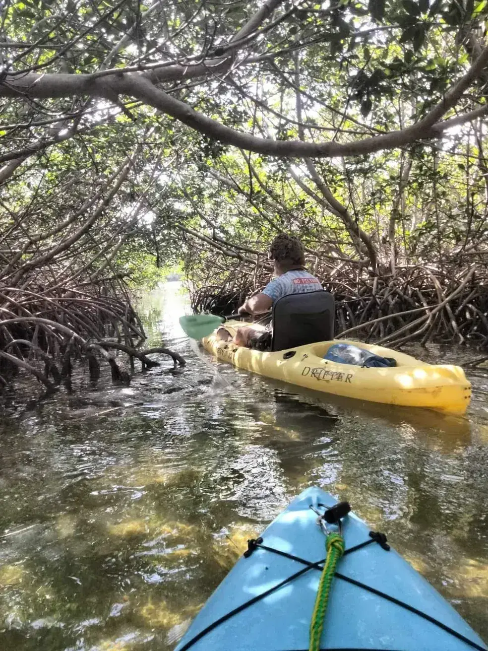 Spongebob Kayak Eco Tours