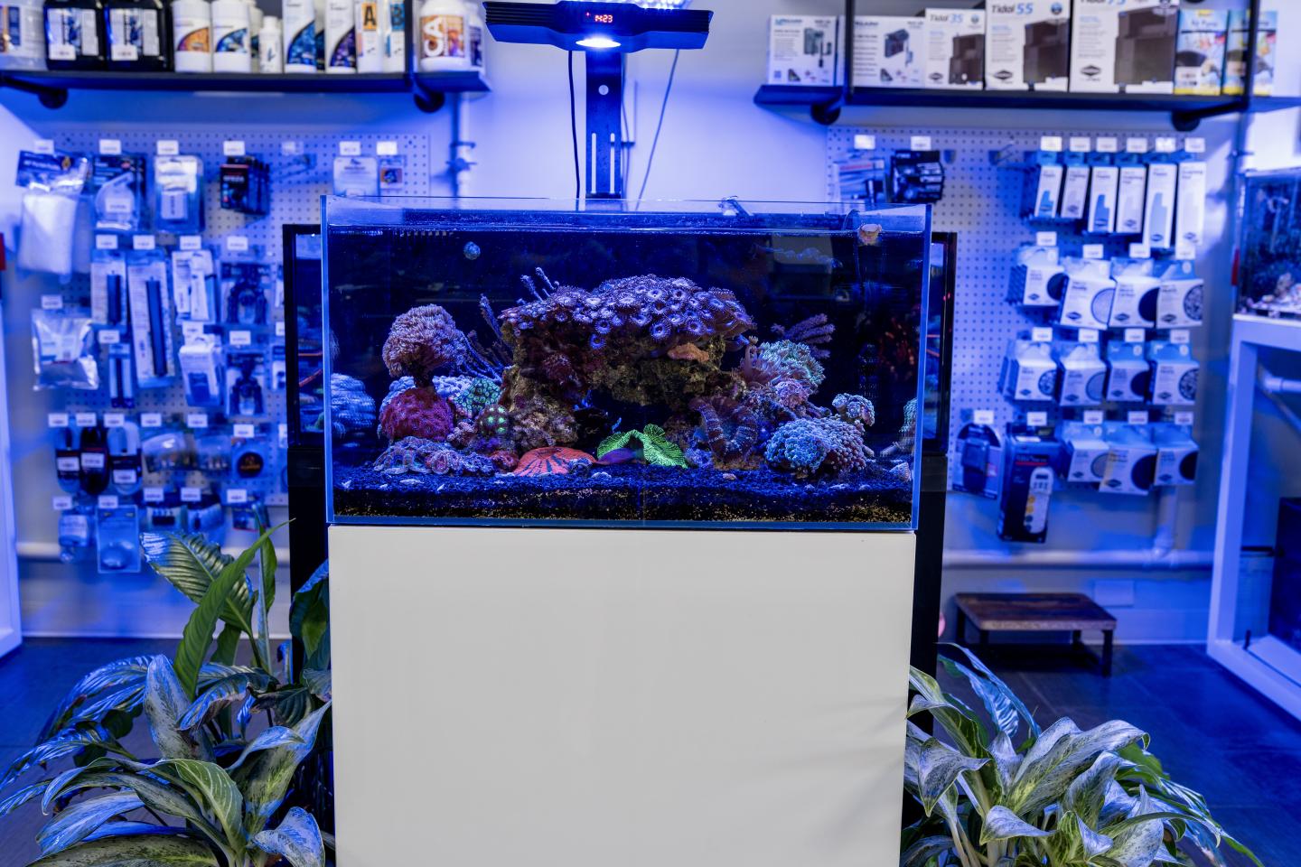The Underwater Gardener
