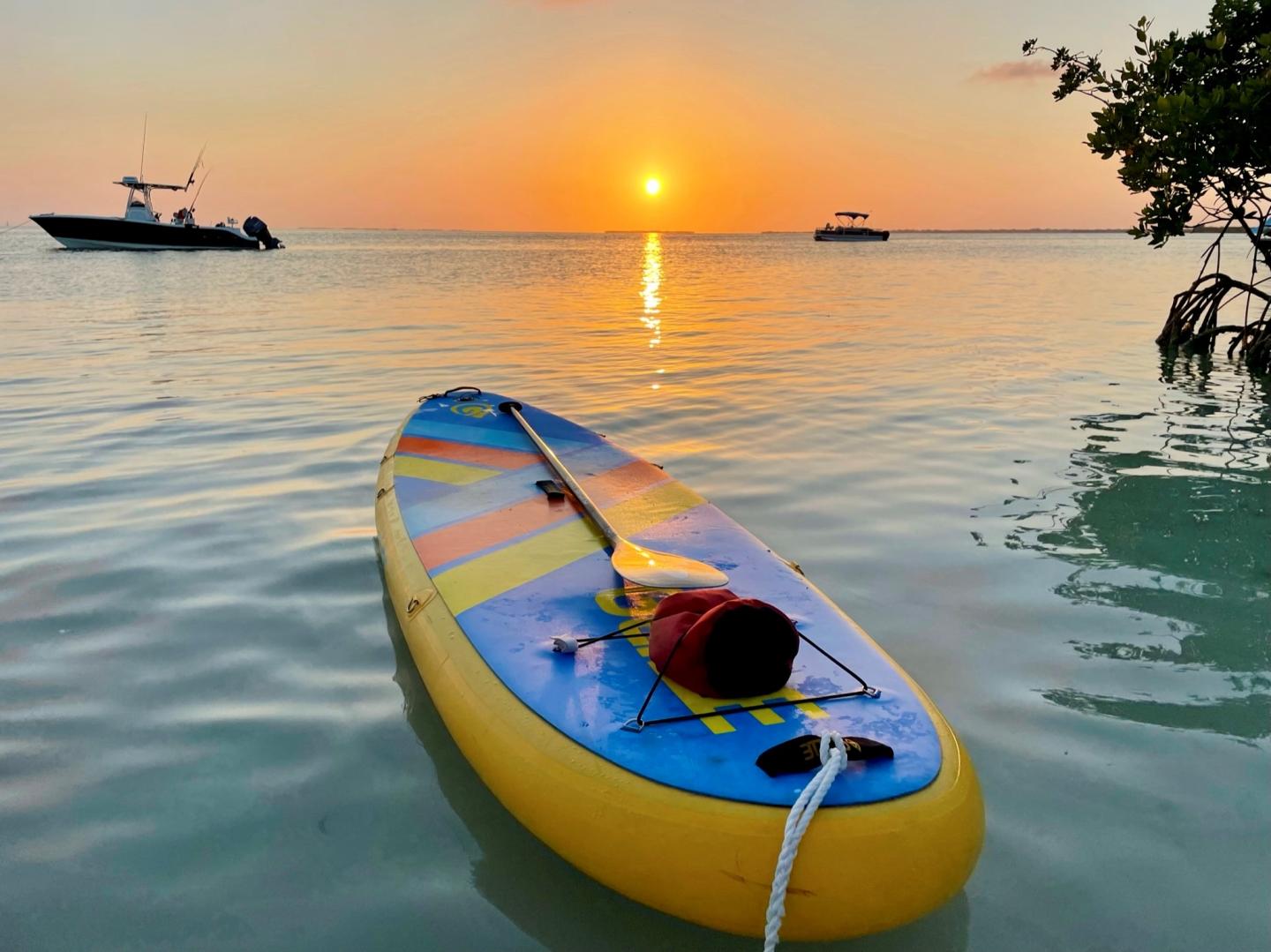 The Wandering Paddler - Paddle Board Tours & Rentals
