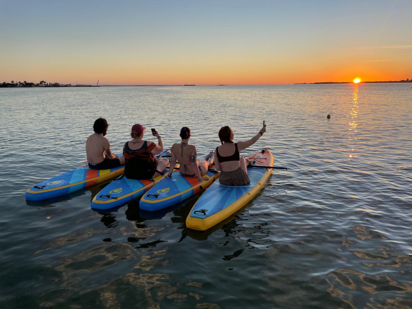 The Wandering Paddler - Paddle Board Tours & Rentals