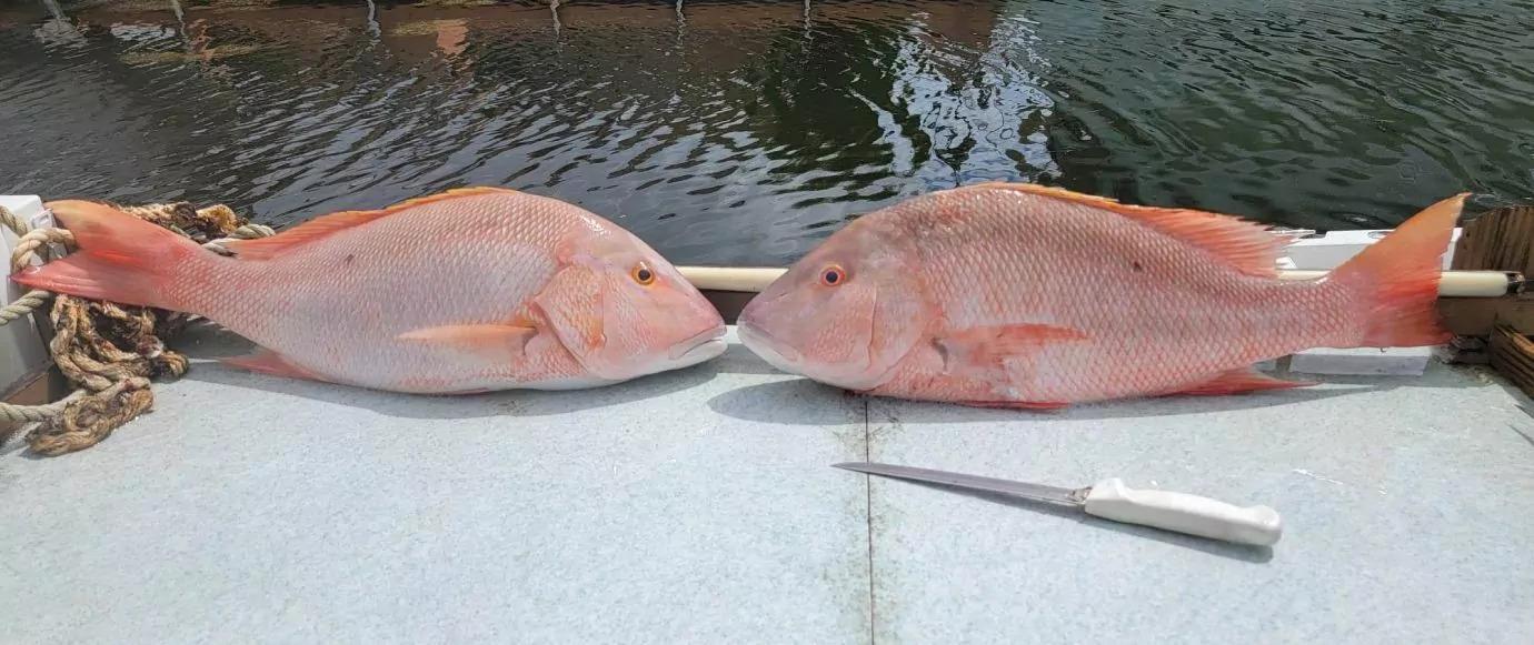 Wet Tails Charters