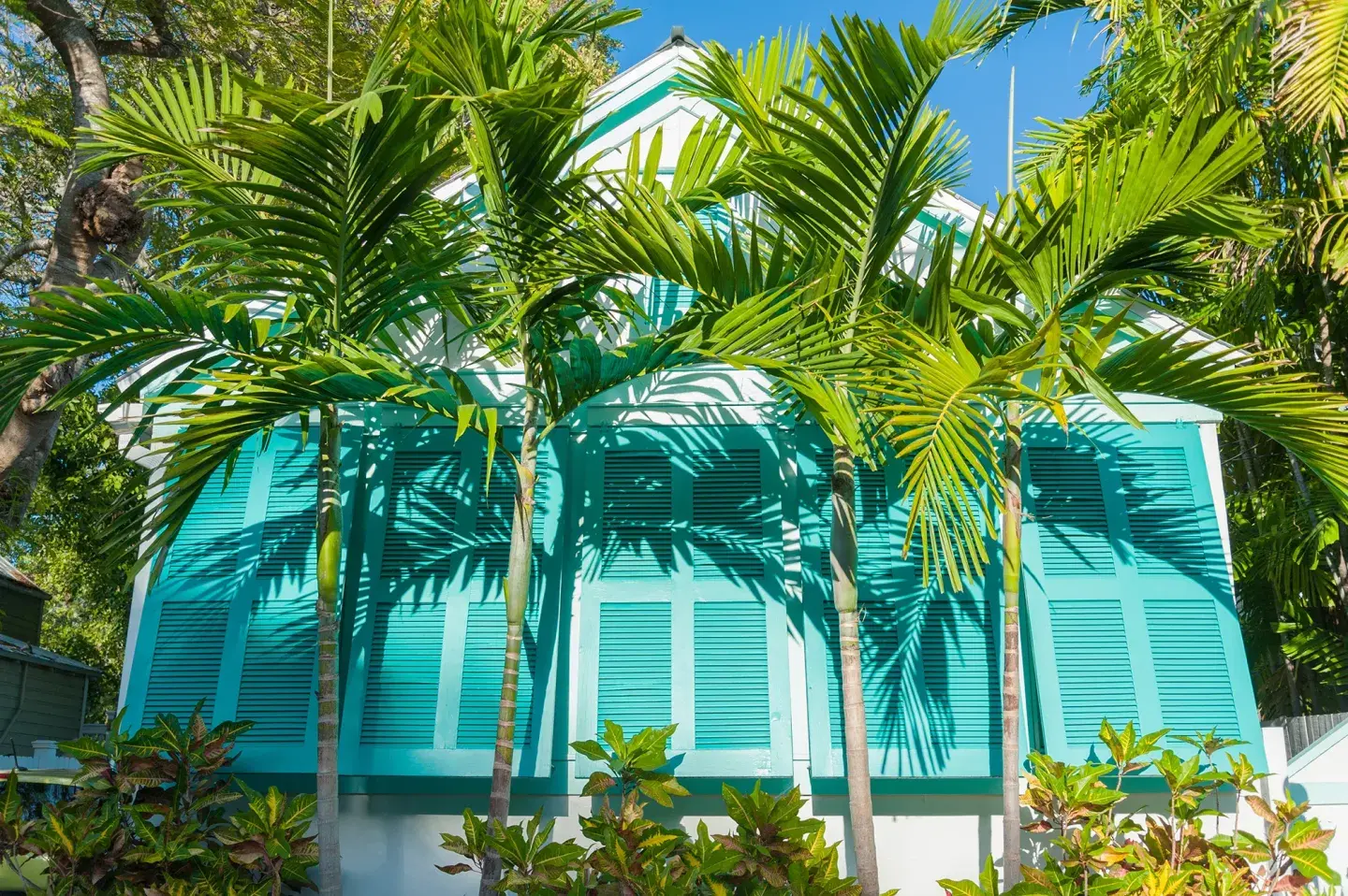 White Street Healing Arts