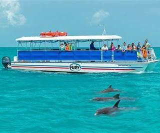WILD about DOLPHINS-Captain Sheri's