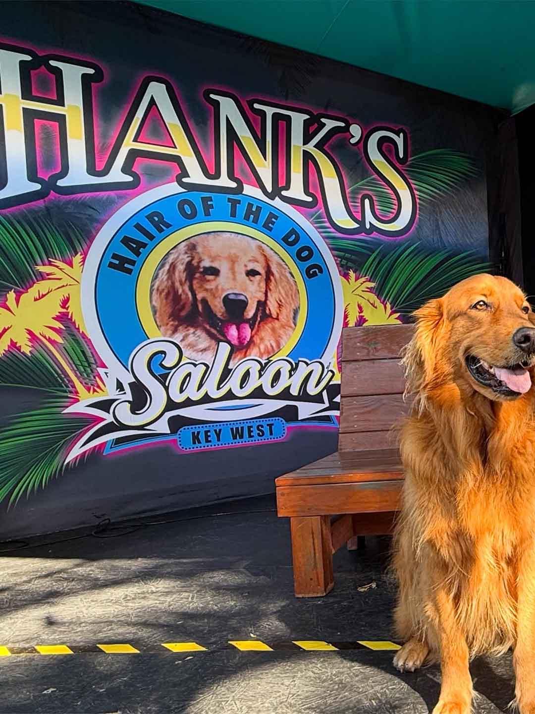 Hank's Hair of the Dog Saloon