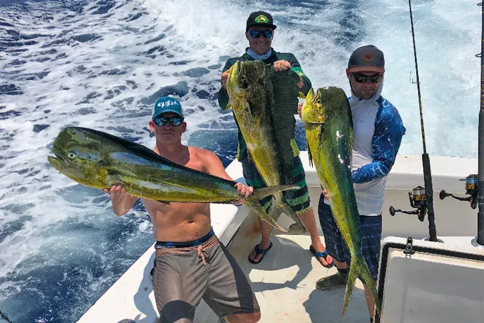 LegaSea Charters