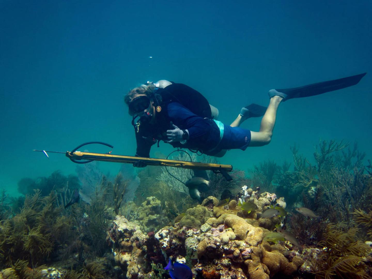 Islamorada Dive Center